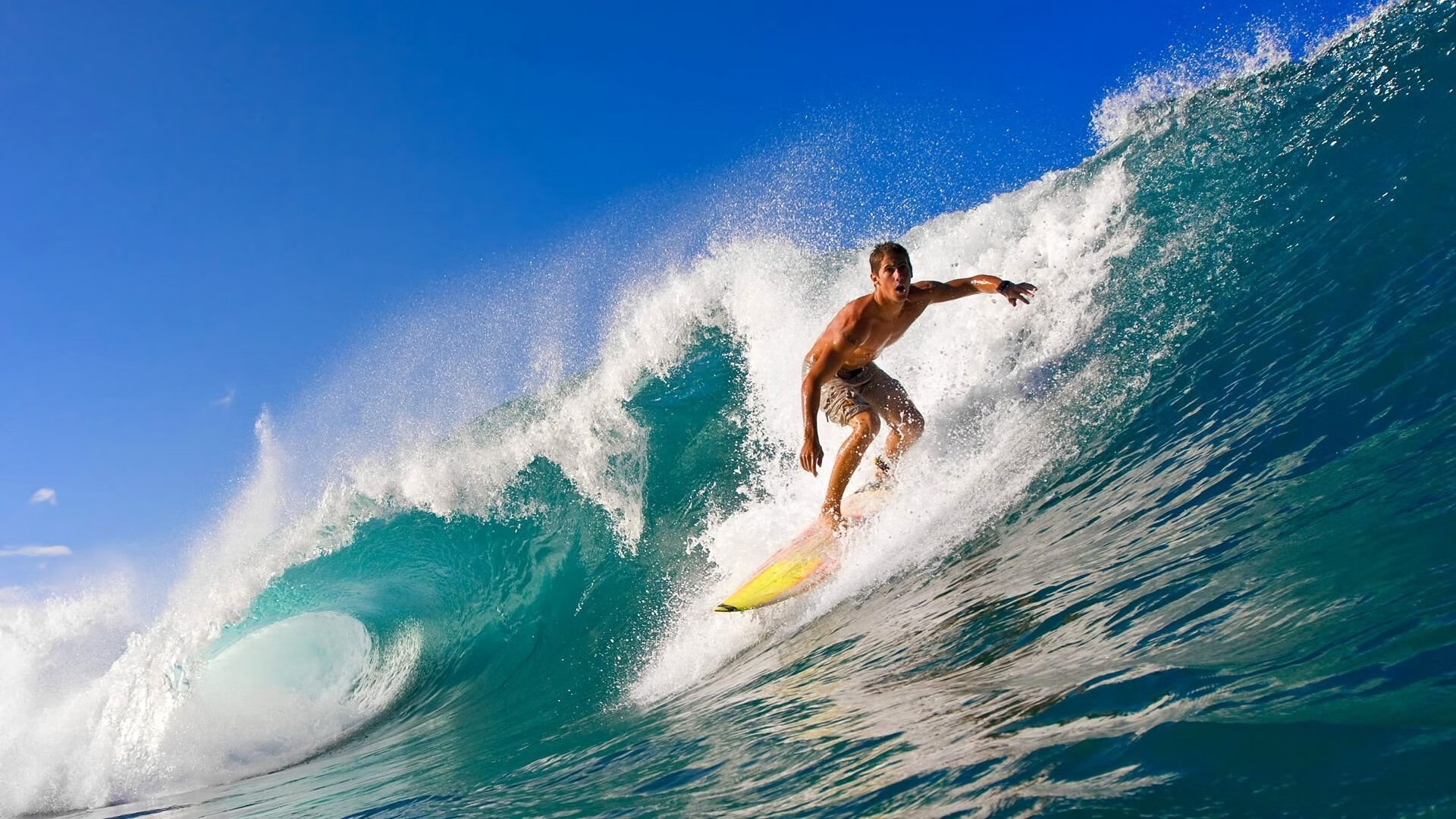 世界杯球场观赛体验升级 数字化服务成为新亮点